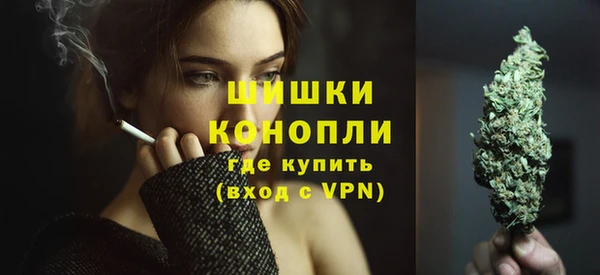 прущие грибы Бежецк