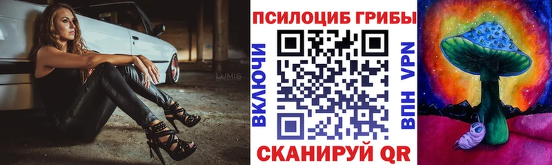 Псилоцибиновые грибы Psilocybine cubensis  Поворино 