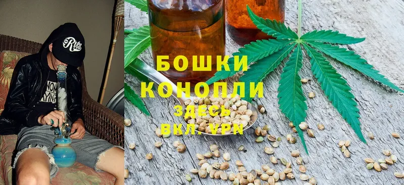 Конопля план  Поворино 